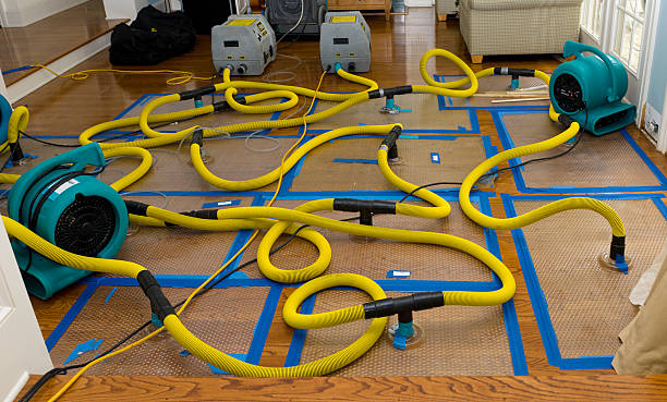 Professional Burst Pipe Water Damage technician working in Porterfield, WI